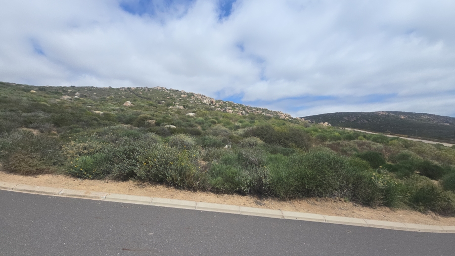 0 Bedroom Property for Sale in St Helena Views Western Cape
